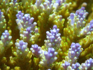 IMG_3548