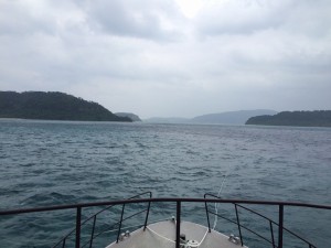 IMG_3647
