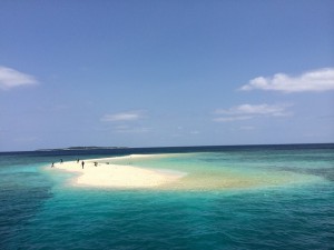 IMG_3713