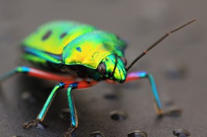 IMG_4825