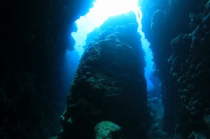 IMG_5200
