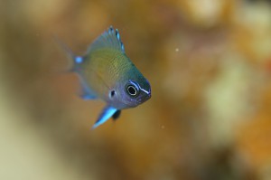 IMG_5303