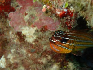 P3180507