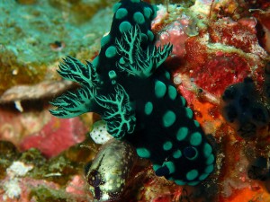 P3310090