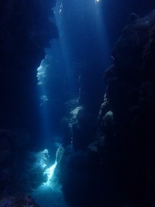 P3310091
