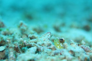 s-IMG_5004