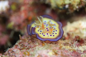 s-IMG_5031