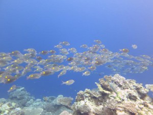 s-IMG_6345