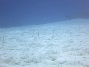 s-IMG_6371