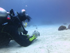 s-IMG_6374