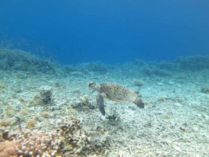 s-IMG_6403