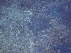 s-IMG_6682