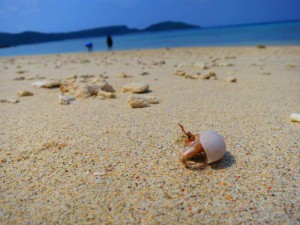s-IMG_6721