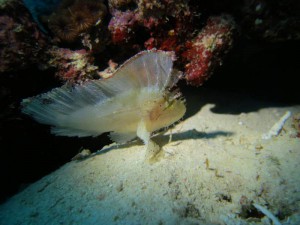 s-IMG_6742