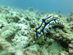 s-IMG_6759
