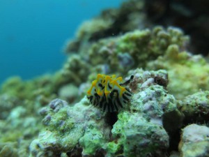 s-IMG_6766