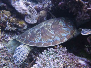 s-IMG_6781