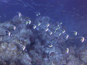s-IMG_6784
