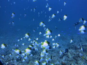 s-IMG_7101
