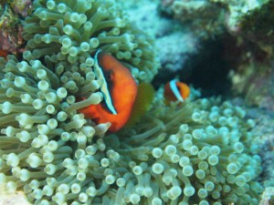 s-P3040036