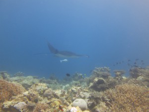 sIMG_0024