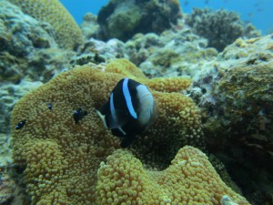 sIMG_0032