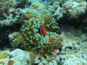 sIMG_0034
