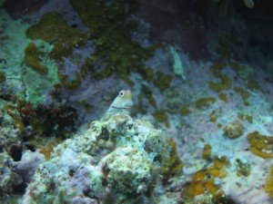sIMG_0040