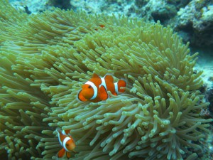 sIMG_0048