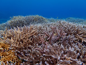 sP3080314