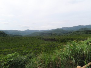 sP3282572