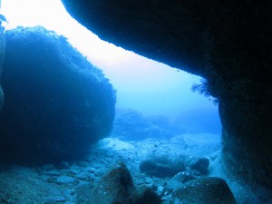 IMG_0378
