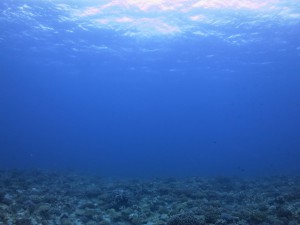 IMG_2162