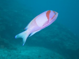 IMG_2167