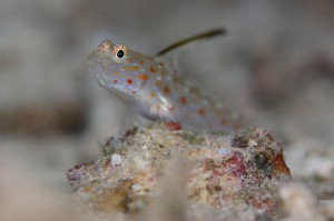 IMG_5259
