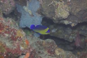 IMG_5714