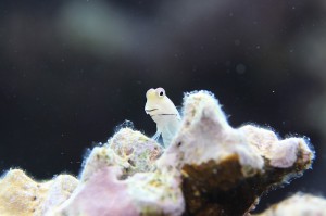 IMG_6271