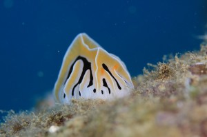 IMG_6307
