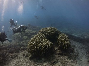 s-IMG_0378