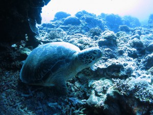 s-IMG_1515