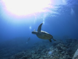 s-IMG_1519