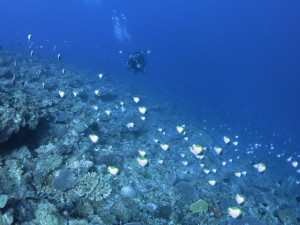 s-IMG_1524