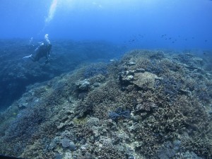 s-IMG_1526