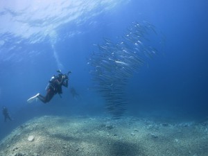 s-IMG_1535