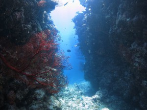 s-IMG_1554
