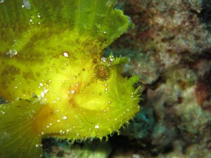 s-IMG_1628