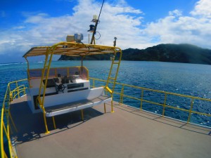 s-IMG_1695