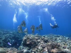 s-IMG_1715