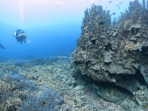 s-IMG_1724