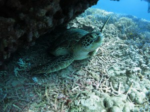 s-IMG_1728